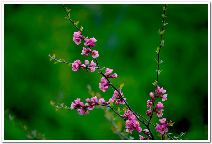 nEO_IMG_DSC_1358.jpg