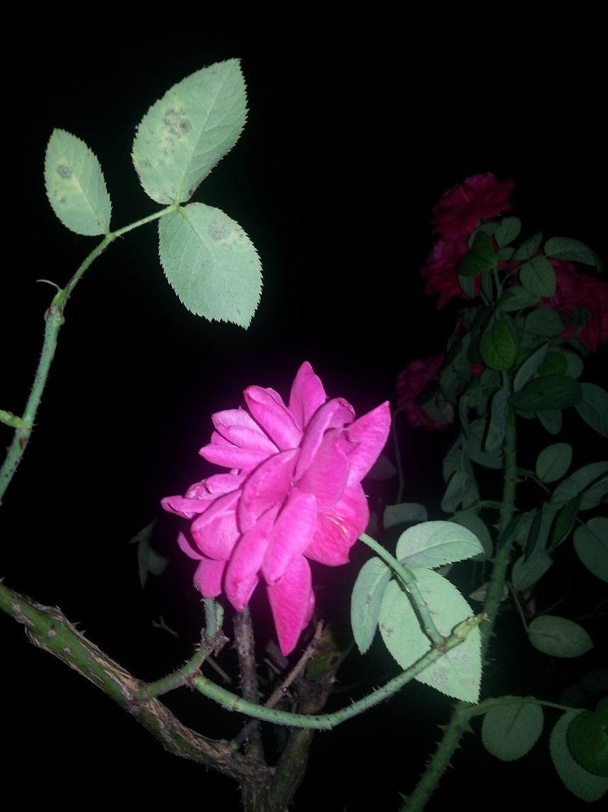 20130718_223451.jpg