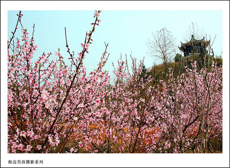 IMG_7248_conew1.jpg