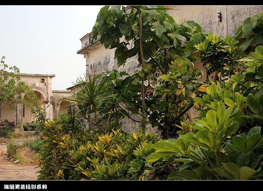 IMG_4535_conew1.jpg