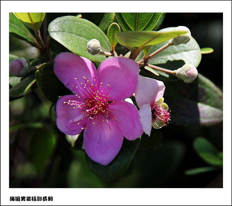 IMG_8902_conew1.jpg