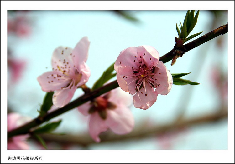 IMG_7242_conew1.jpg