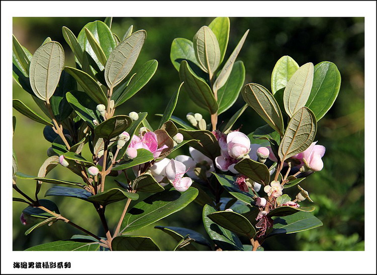IMG_9012_conew1.jpg