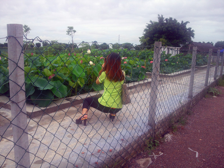 Ƭ0052_.jpg