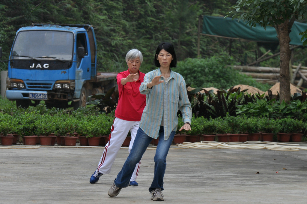 DSC_8513.JPG