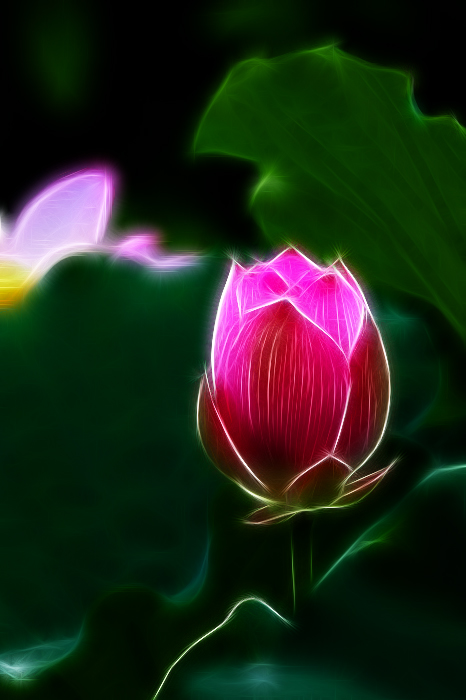 QQͼƬ20130725125051.jpg