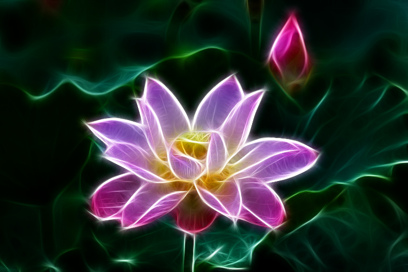 QQͼƬ20130725125201.jpg