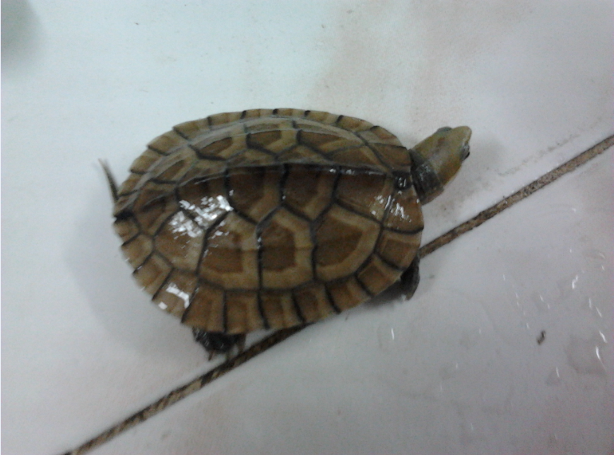 QQͼ20130715222142.png