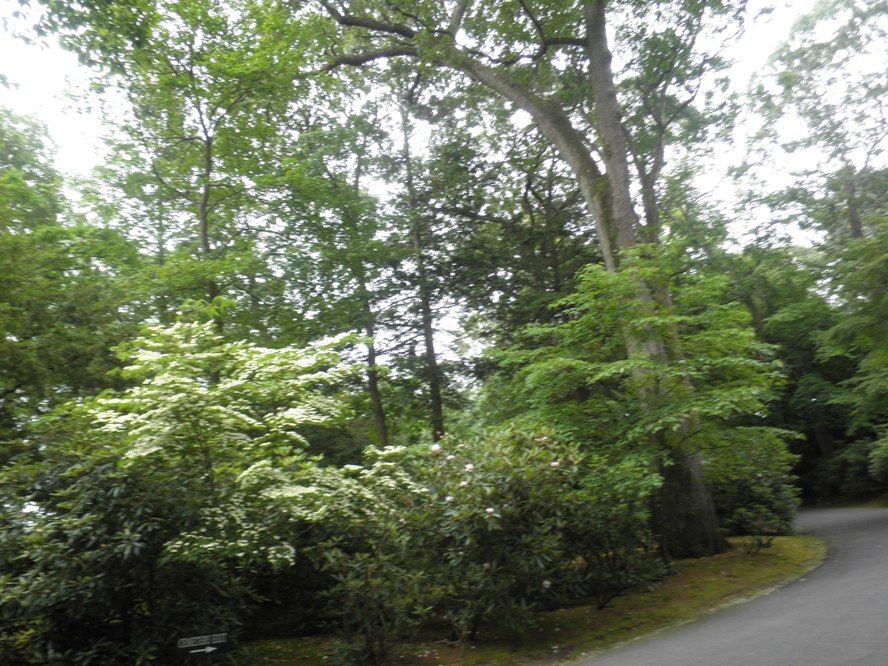 P6300040.JPG