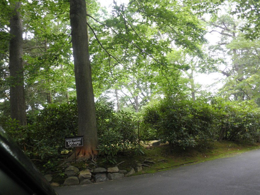 P6300029.JPG