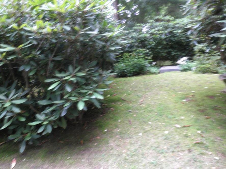 P6300031.JPG