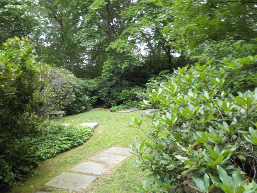 P6300042.JPG