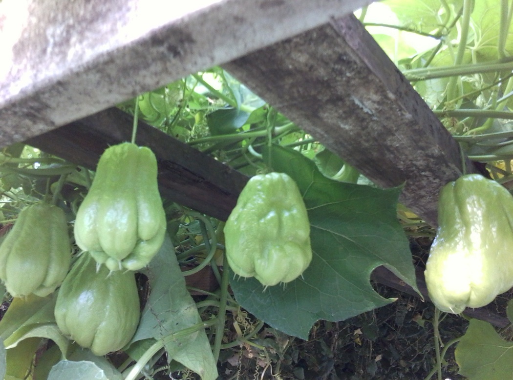 1119121334_תa.jpg