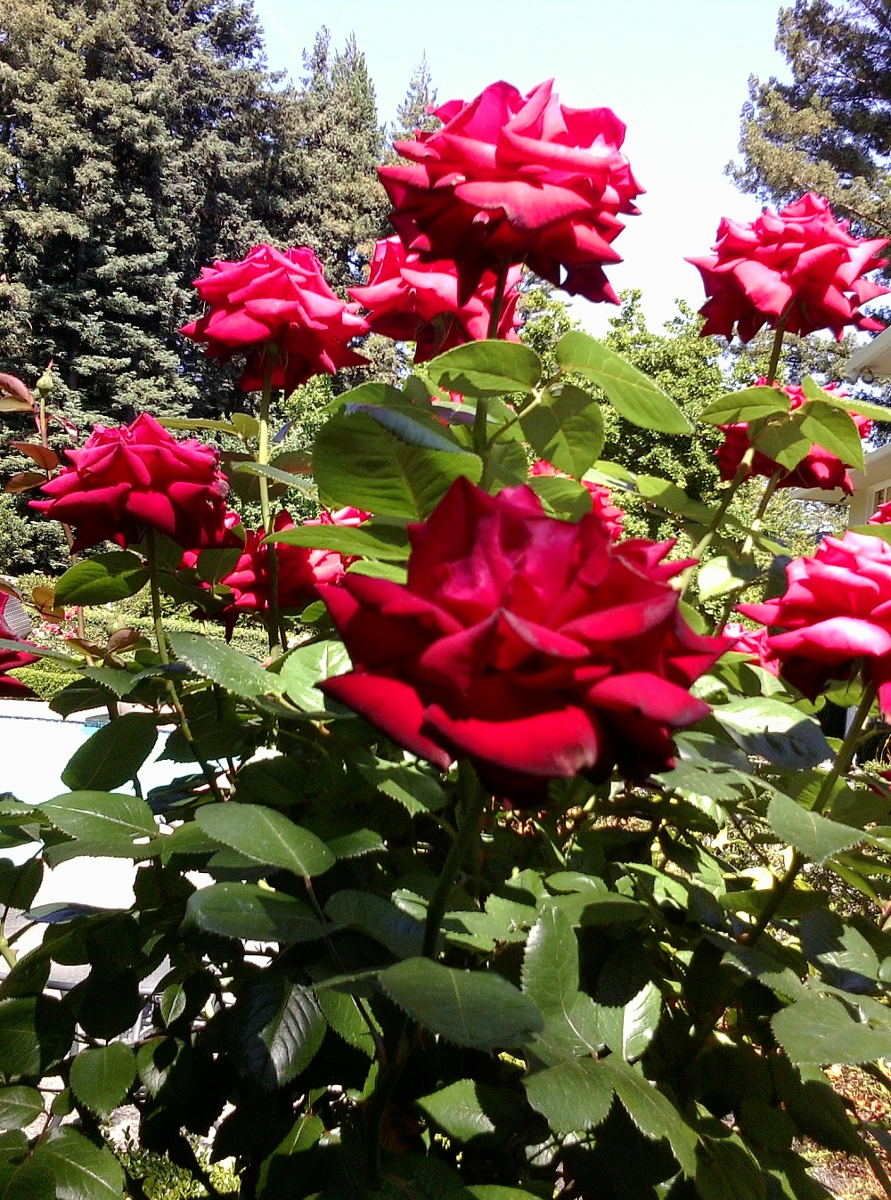 0522131037a.jpg