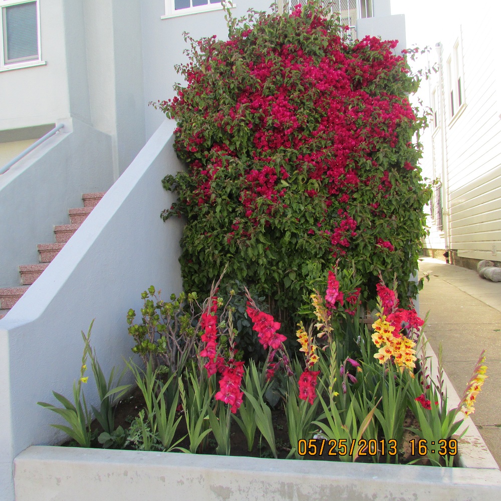 IMG_0316a.jpg