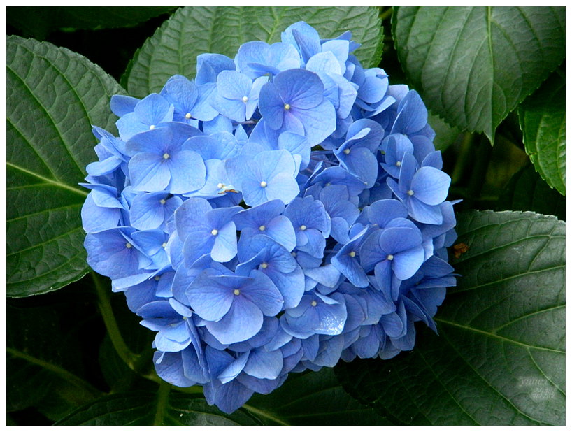 DSCN2747.JPG