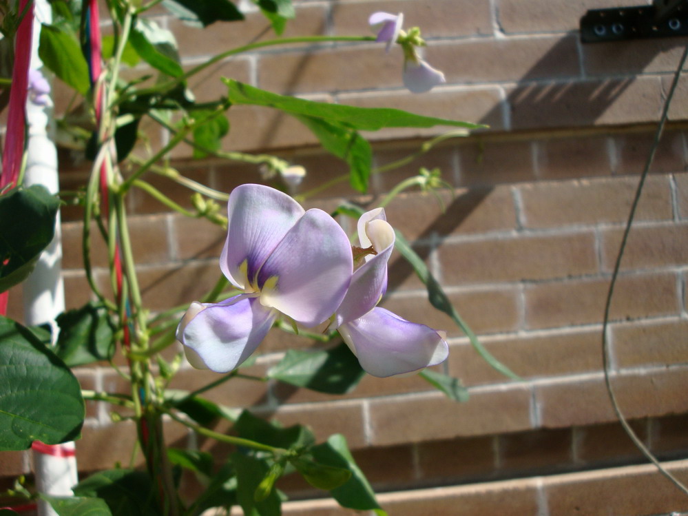 DSC05602.JPG