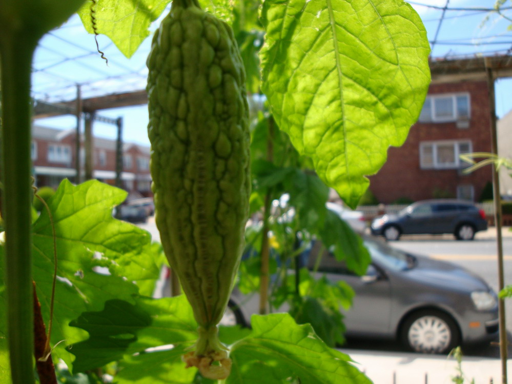 DSC05608.JPG