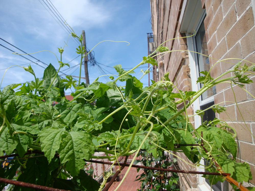 DSC05610.JPG