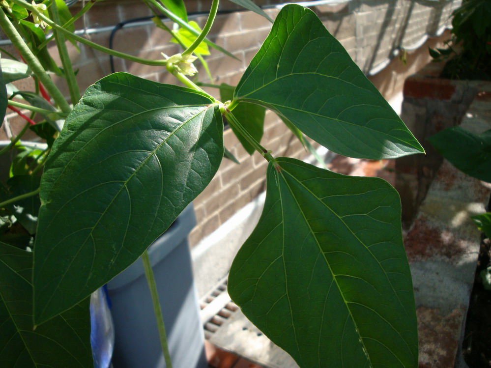 DSC05595.JPG