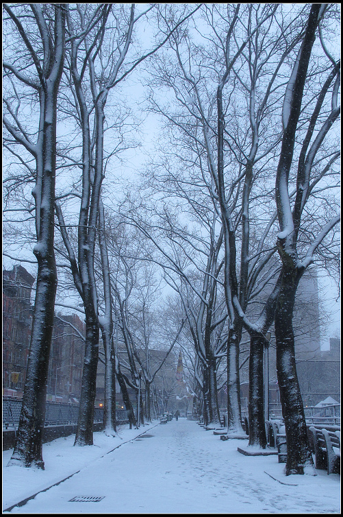 IMG_4297.jpg