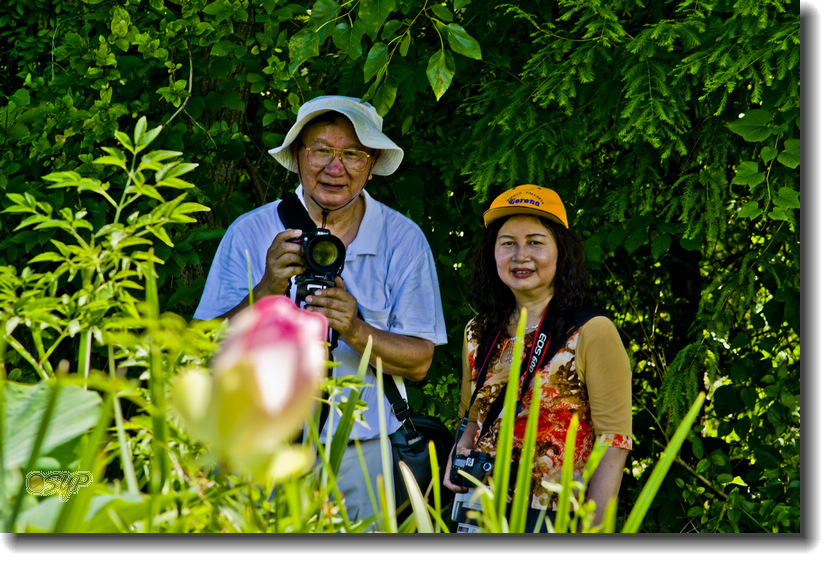 _DSC3866A.jpg