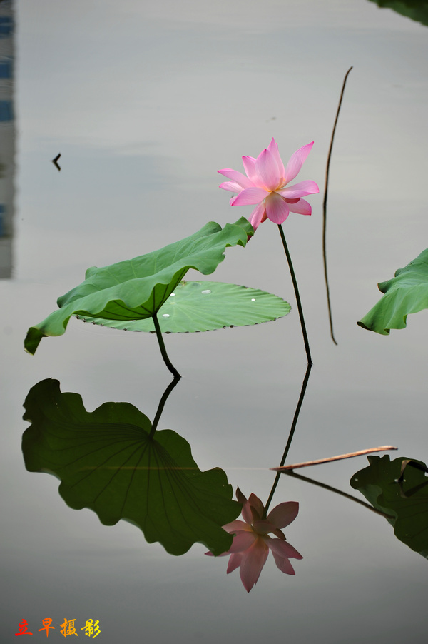 DSC_8826.JPG