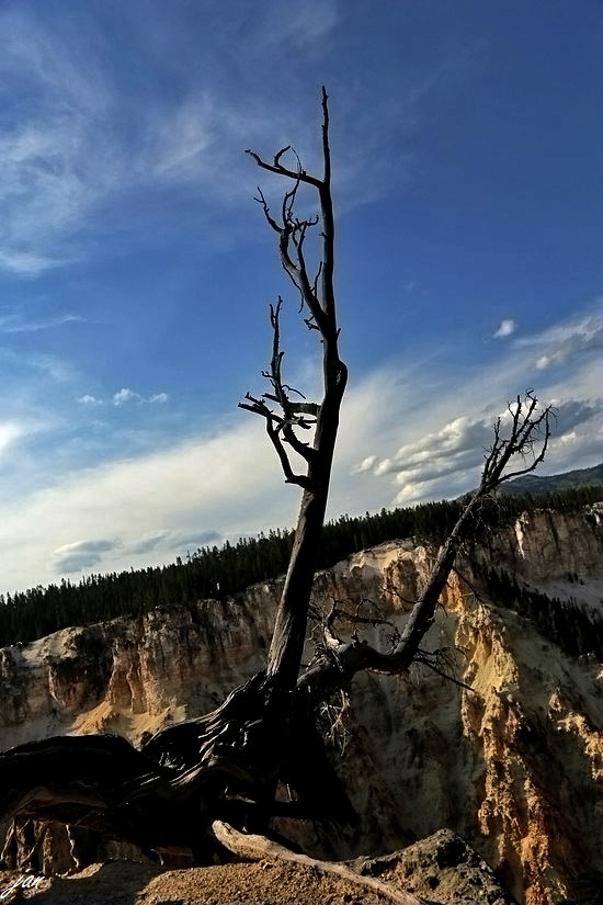 IMG_9816..jpg