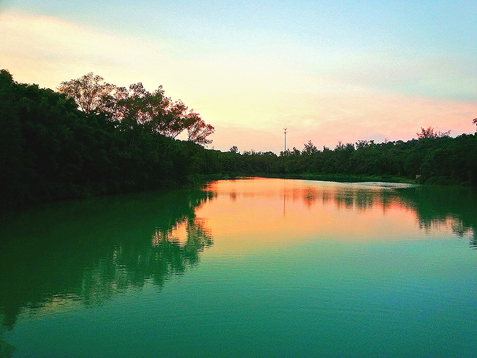 IMG_20130827_085649.jpg