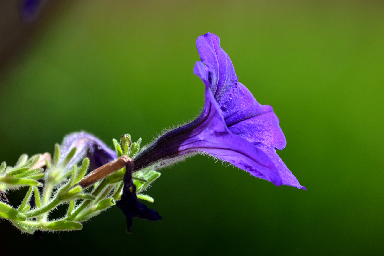 DSC_8436_10.jpg