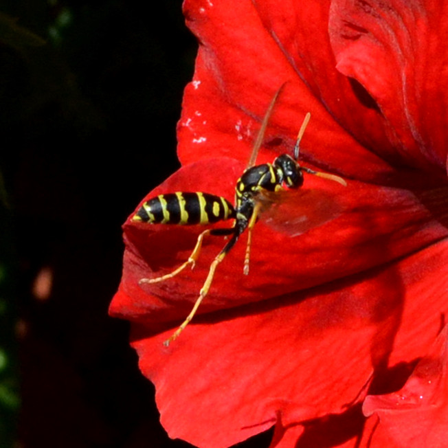 DSC_8796_21.jpg