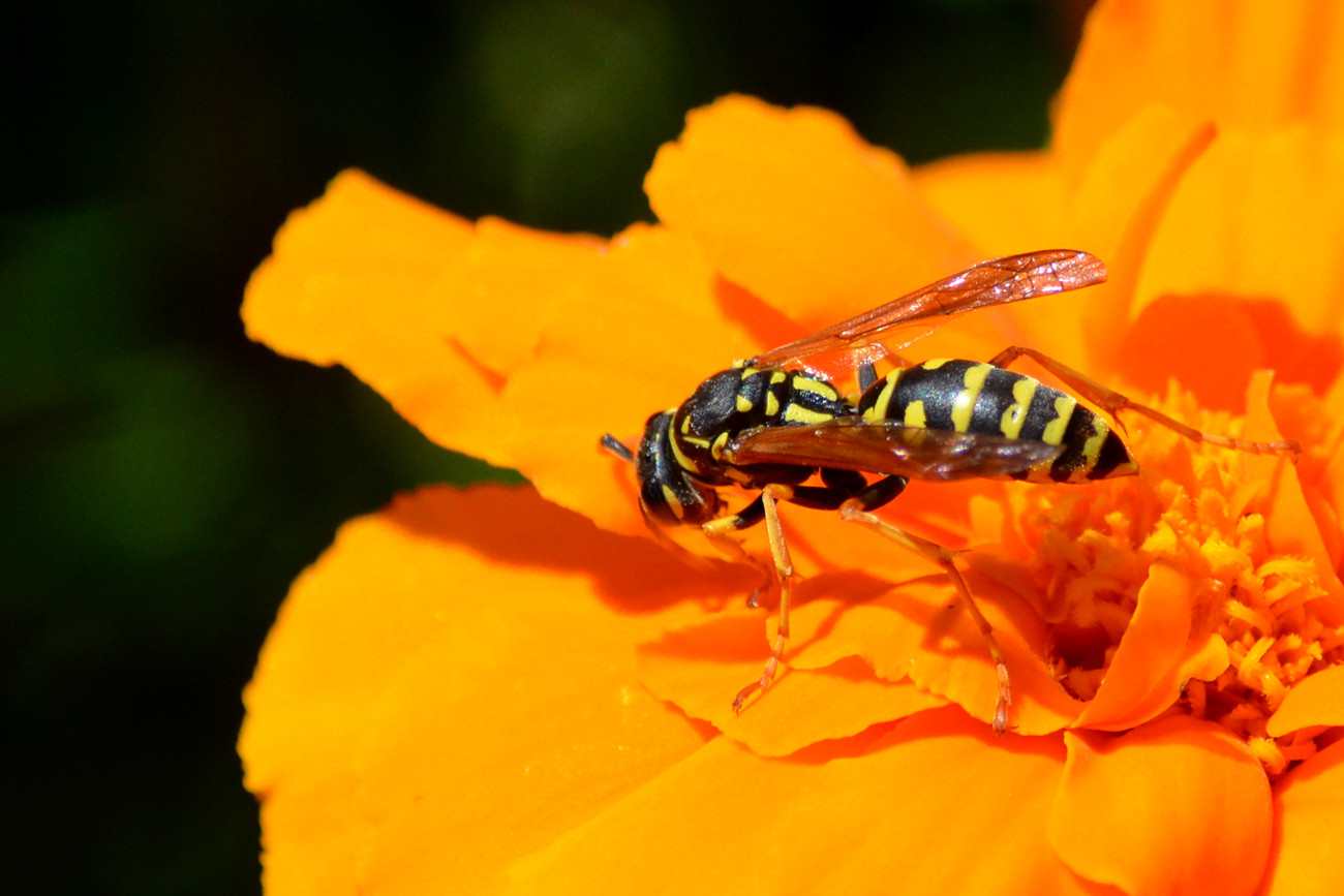 DSC_8794_20.jpg