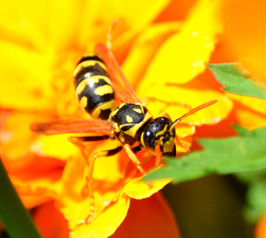 DSC_8813_26.jpg
