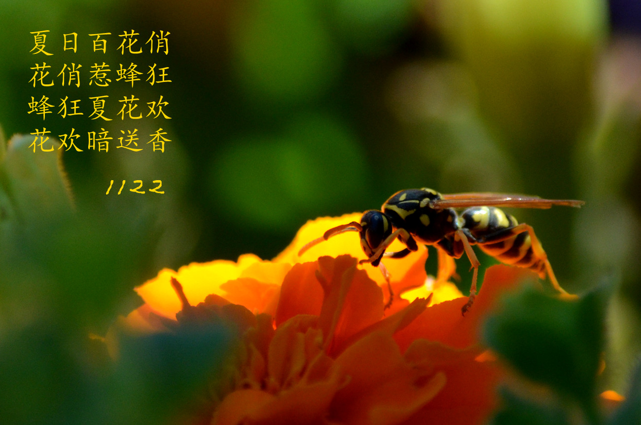 DSC_8821_09.jpg