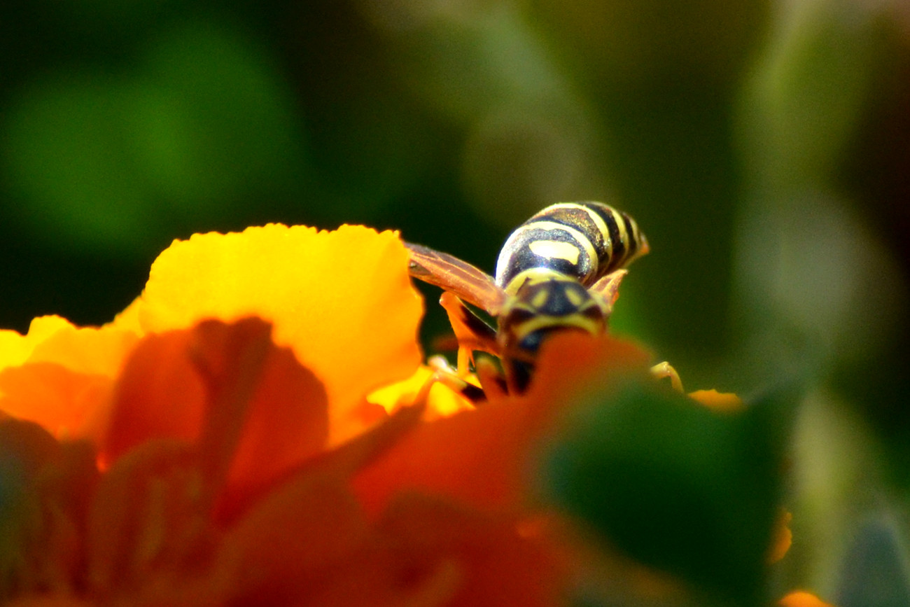 DSC_8820_27.jpg