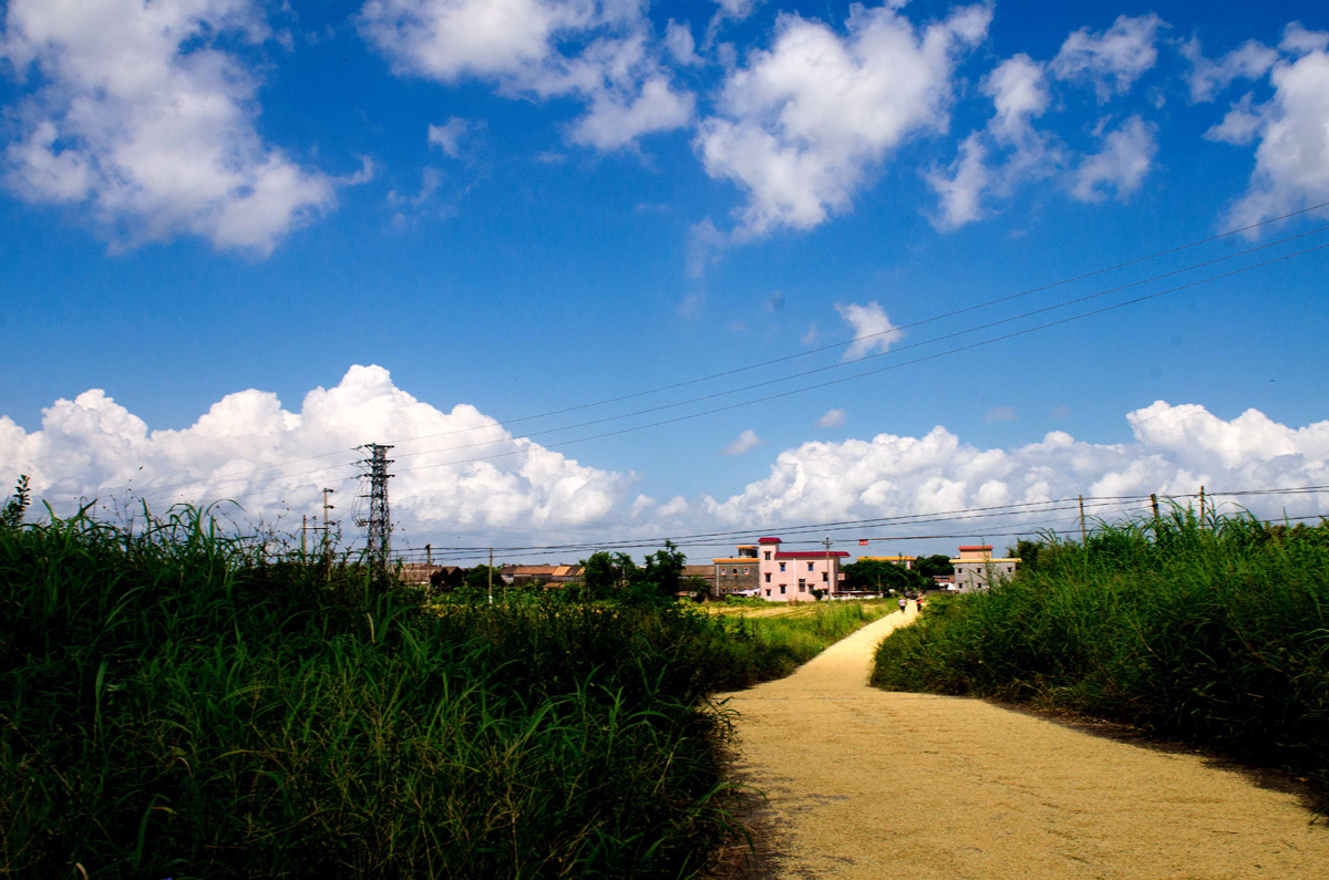 _DSC8895.jpg