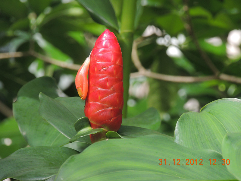 2013 vacation 333_.jpg