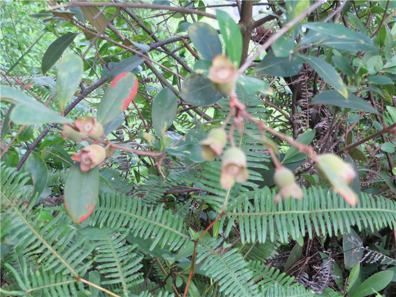 IMG_2883.jpg