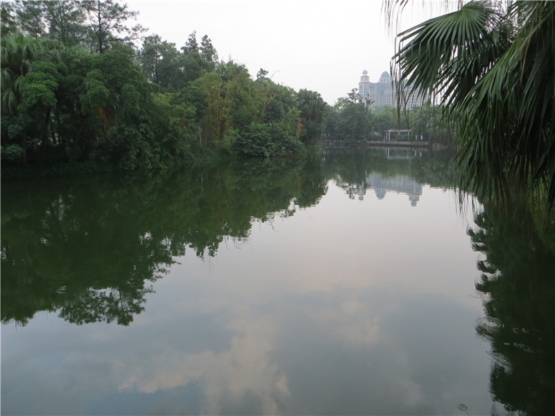 IMG_2967.jpg