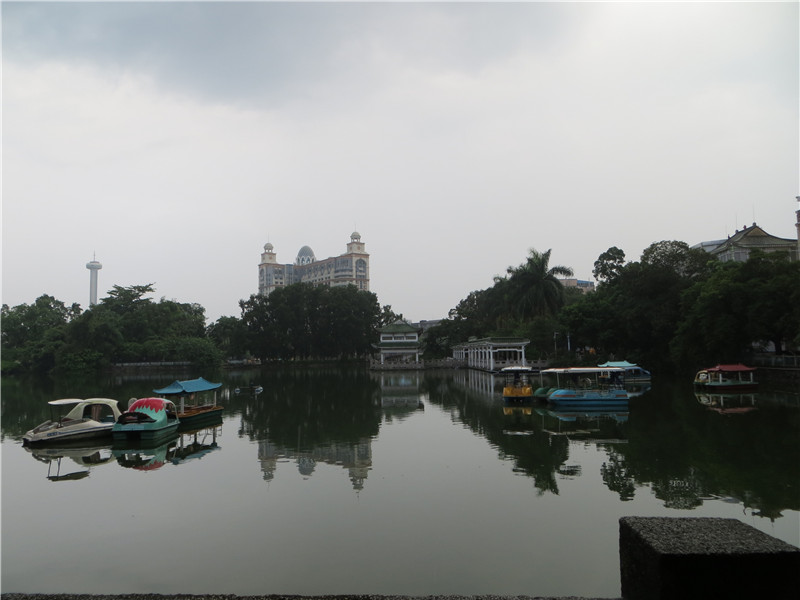IMG_2951.jpg