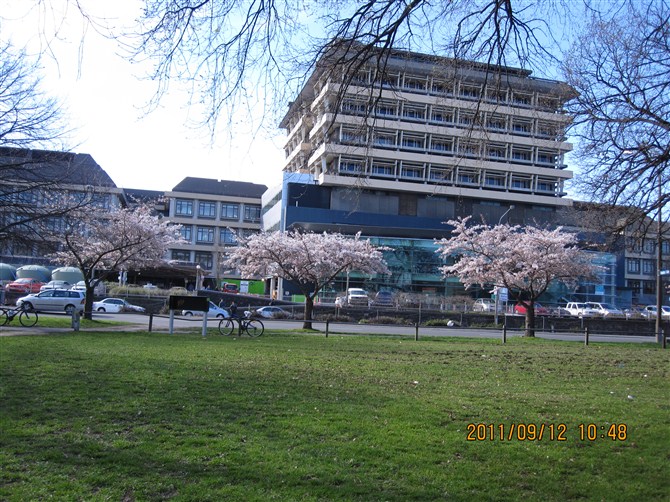 psue01.jpg