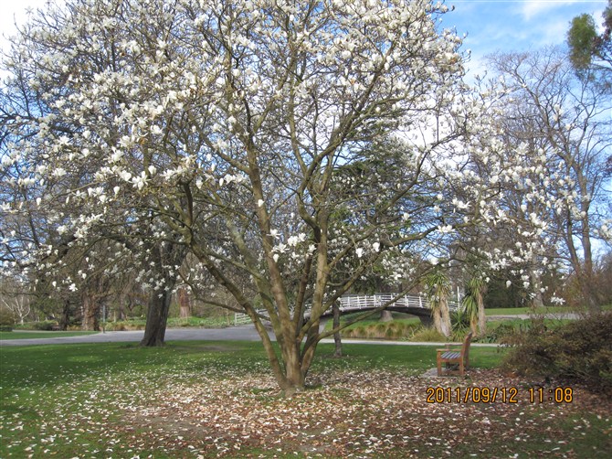 psue08.jpg