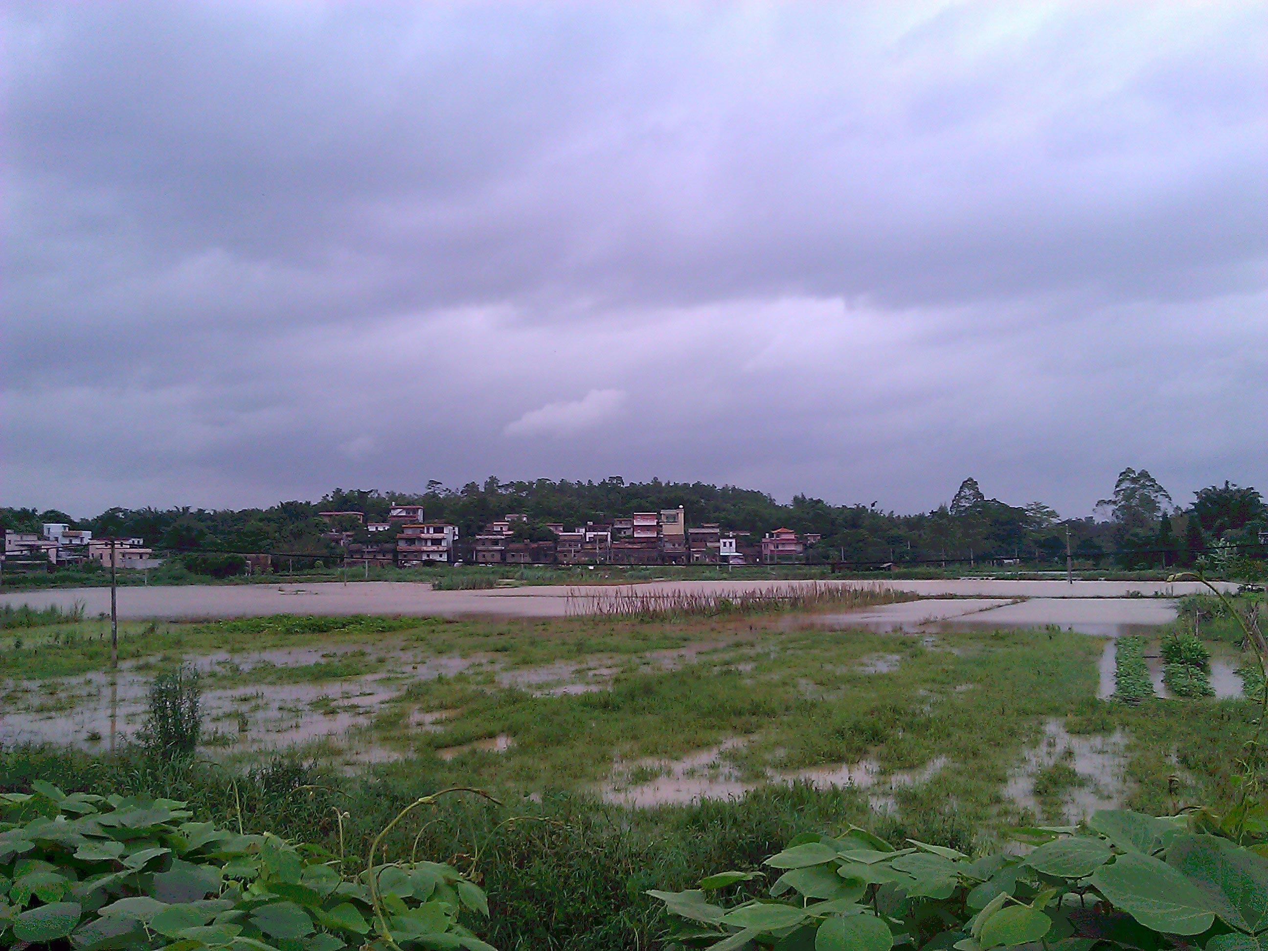 WP_001209.jpg