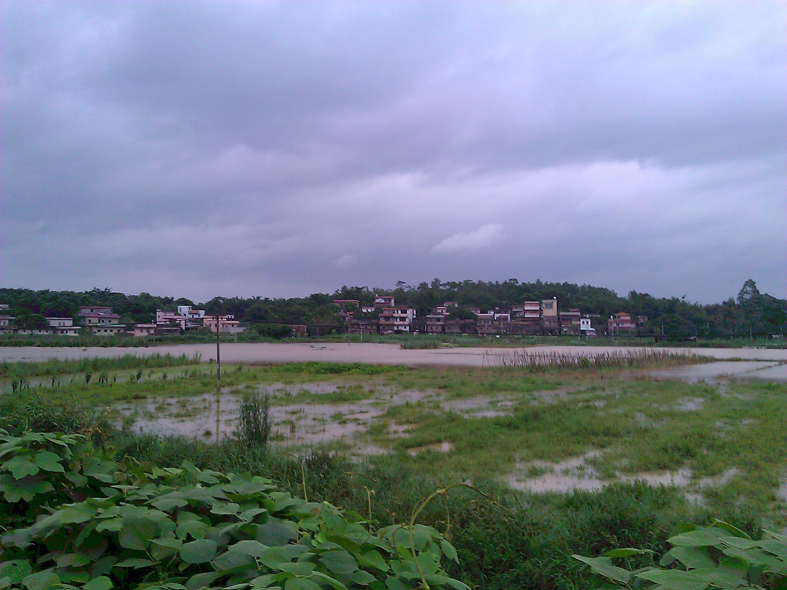WP_001207.jpg