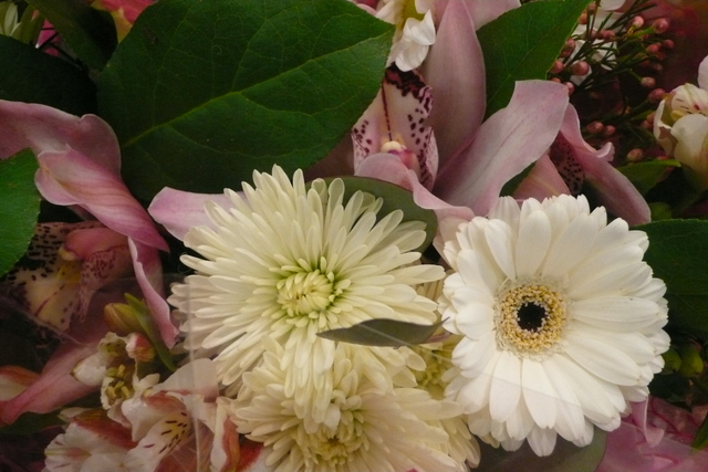 P1240400.JPG