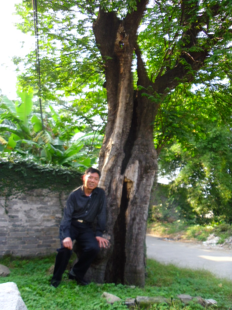 SAM_0132.JPG