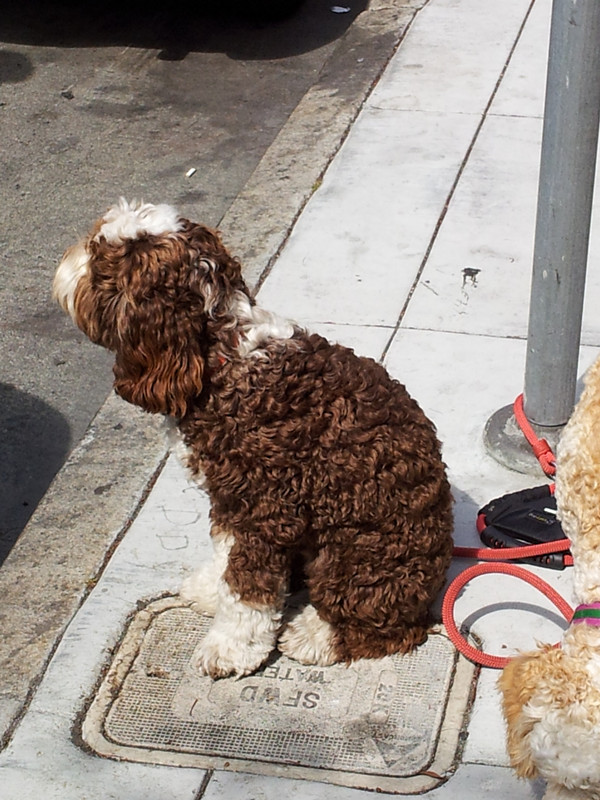 20130703_103737_.jpg
