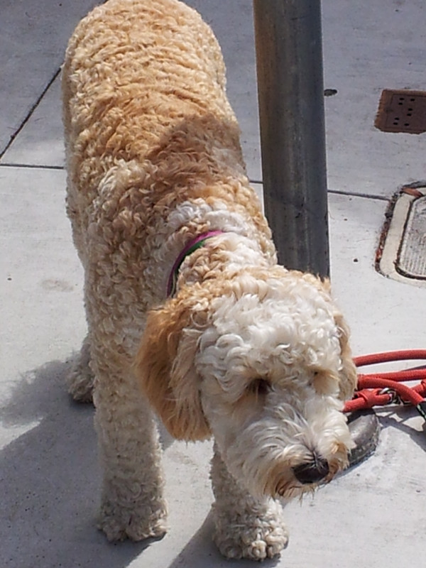 20130703_103406_.jpg