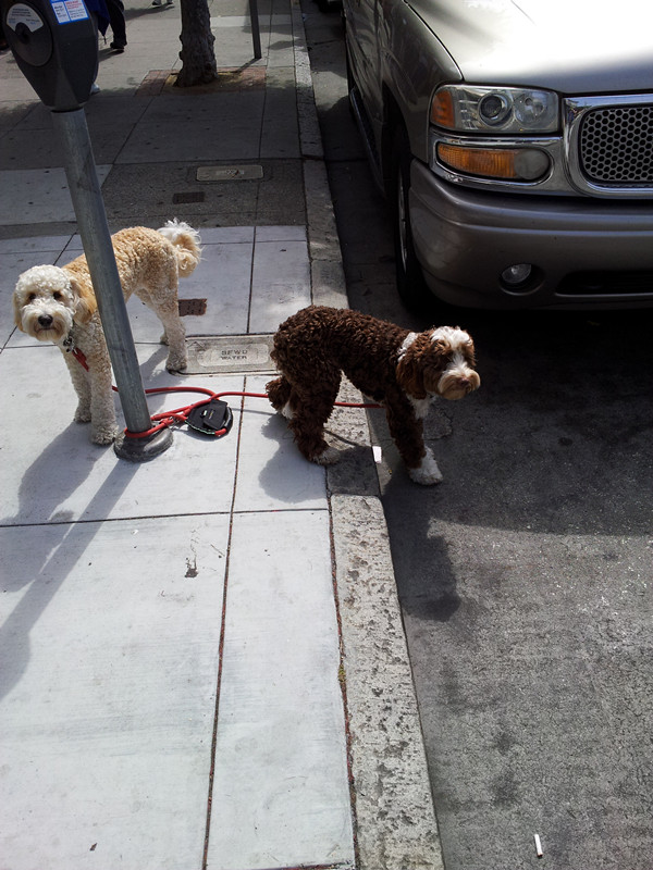 20130703_103347_.jpg