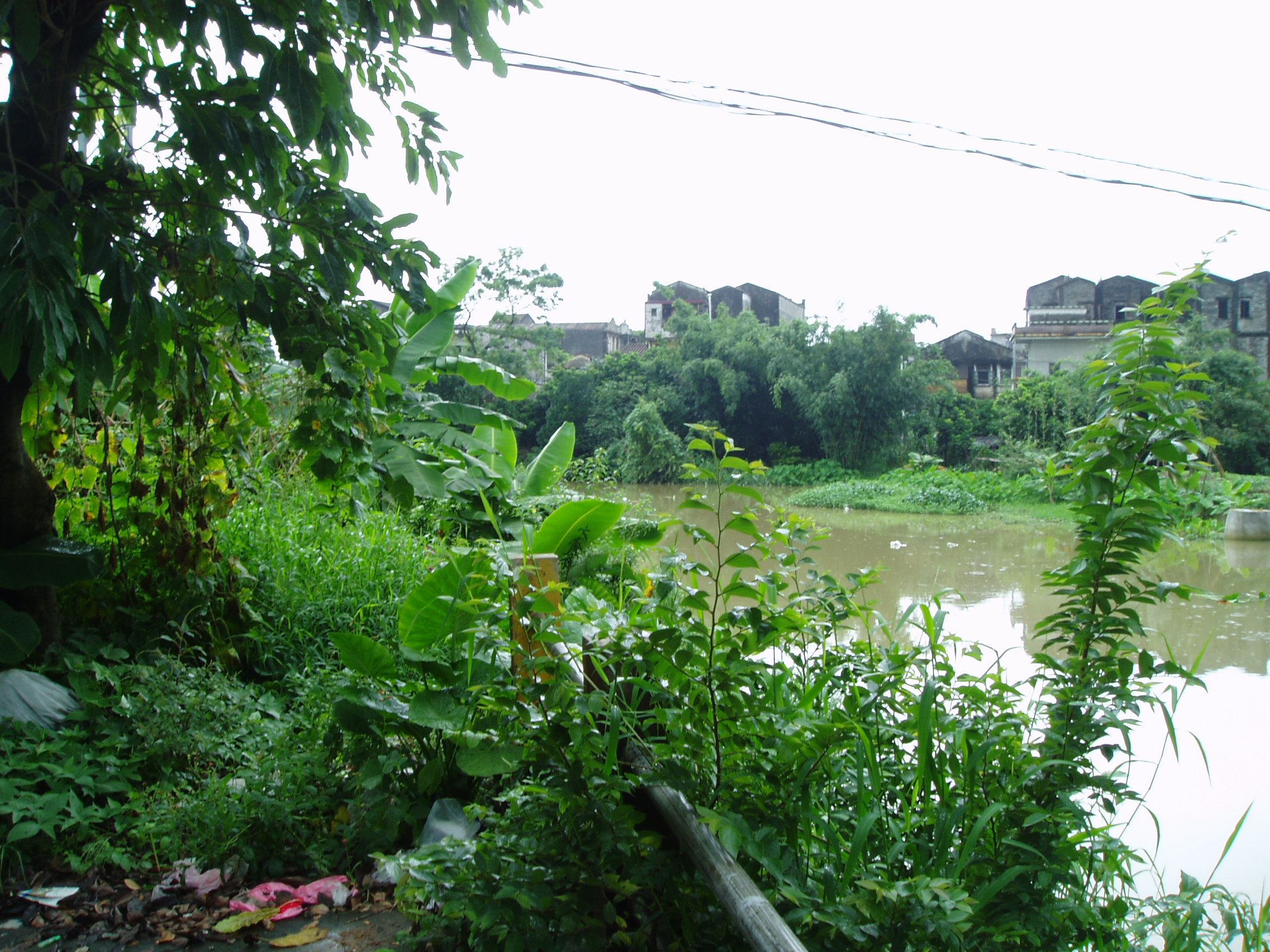 P1010003.JPG
